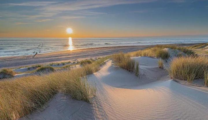 Bondi Beach Renesse Dış mekan fotoğraf