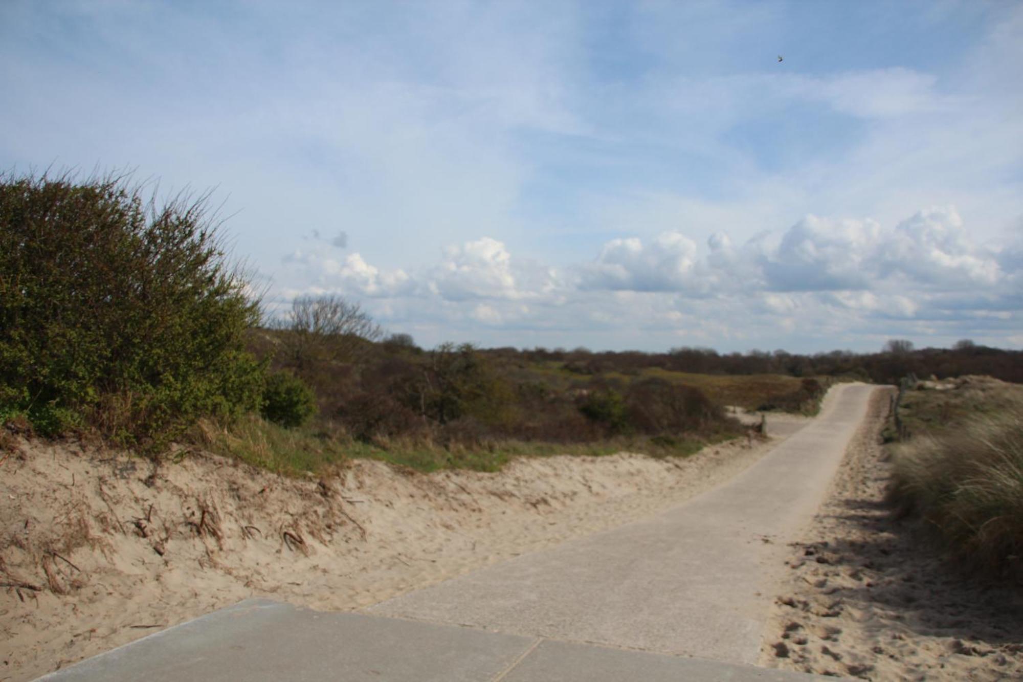 Bondi Beach Renesse Dış mekan fotoğraf
